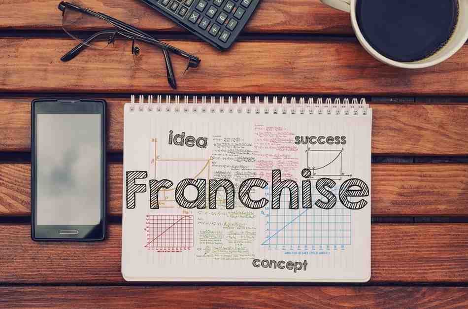 Best Franchise in India Scope and Guide